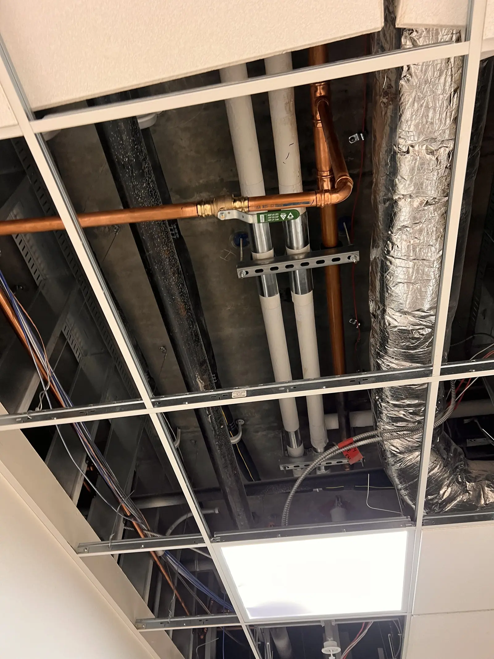 Copper water lines and drain pipe above a drop ceiling in a commercial building