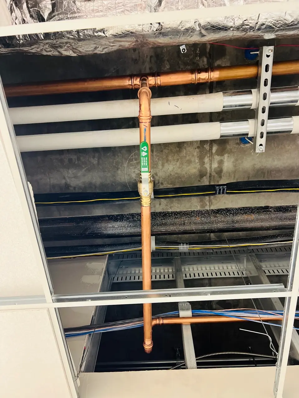 Copper pipe and insulated lines above a ceiling grid in a commercial space